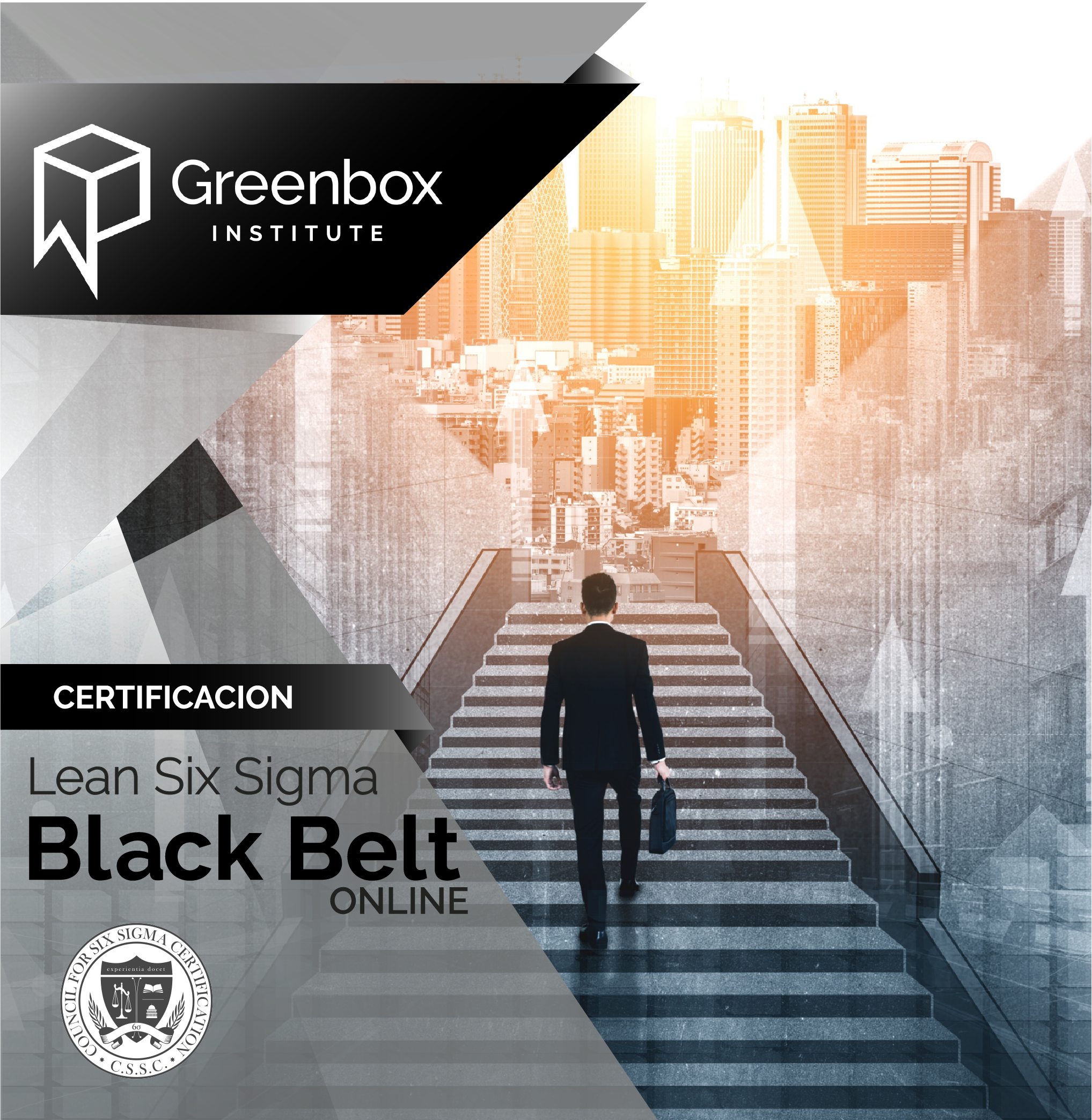 Hectáreas niña Bombardeo Lean Six Sigma Black Belt - Green Box Institute®