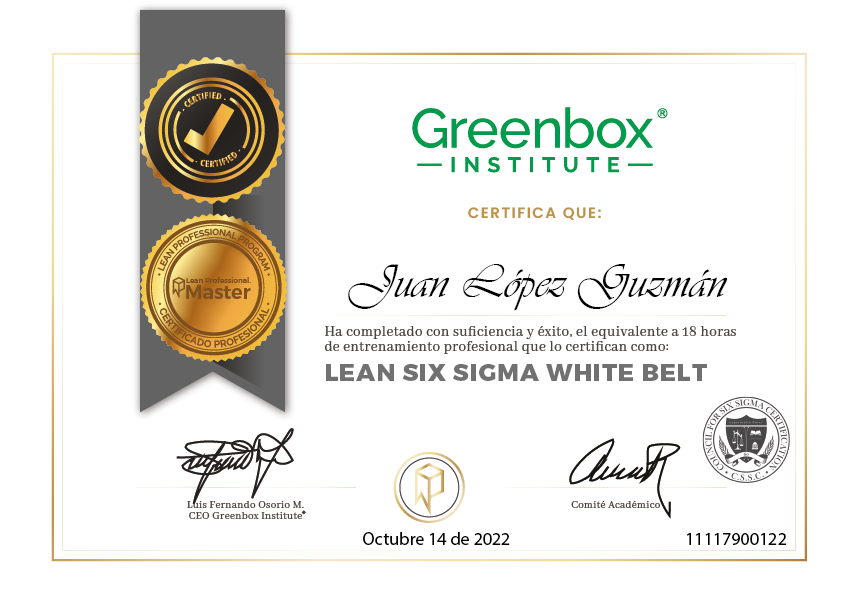 Lean Six Sigma Gratis